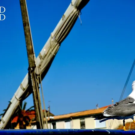 Appartement Le Farniente - Rez-de-chaussee Dans Face A La *