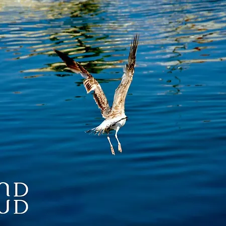Le Farniente - Rez-de-chaussee Dans Face A La *